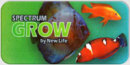 grow
