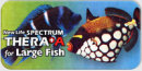 thera_large